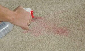 Best Practices for Using OdoBan Carpet Cleaner