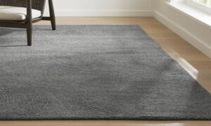 Minimalist Serenity Grey carpets