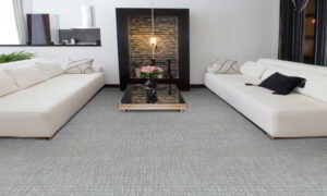 Transitional Harmony carpets