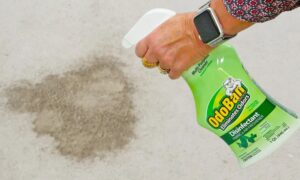 Unveiling the Power of OdoBan Carpet Cleaner