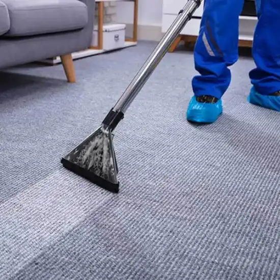 409 Carpet Cleaner