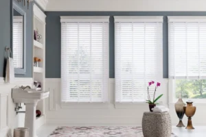 Vinyl Roller Blinds